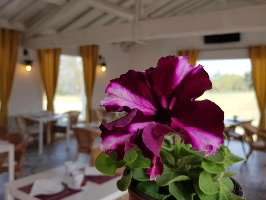 Hotel Valle del Oja Casalarreina Buitenkant foto